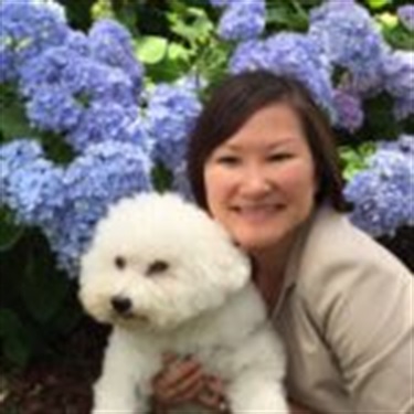 White maltipoo